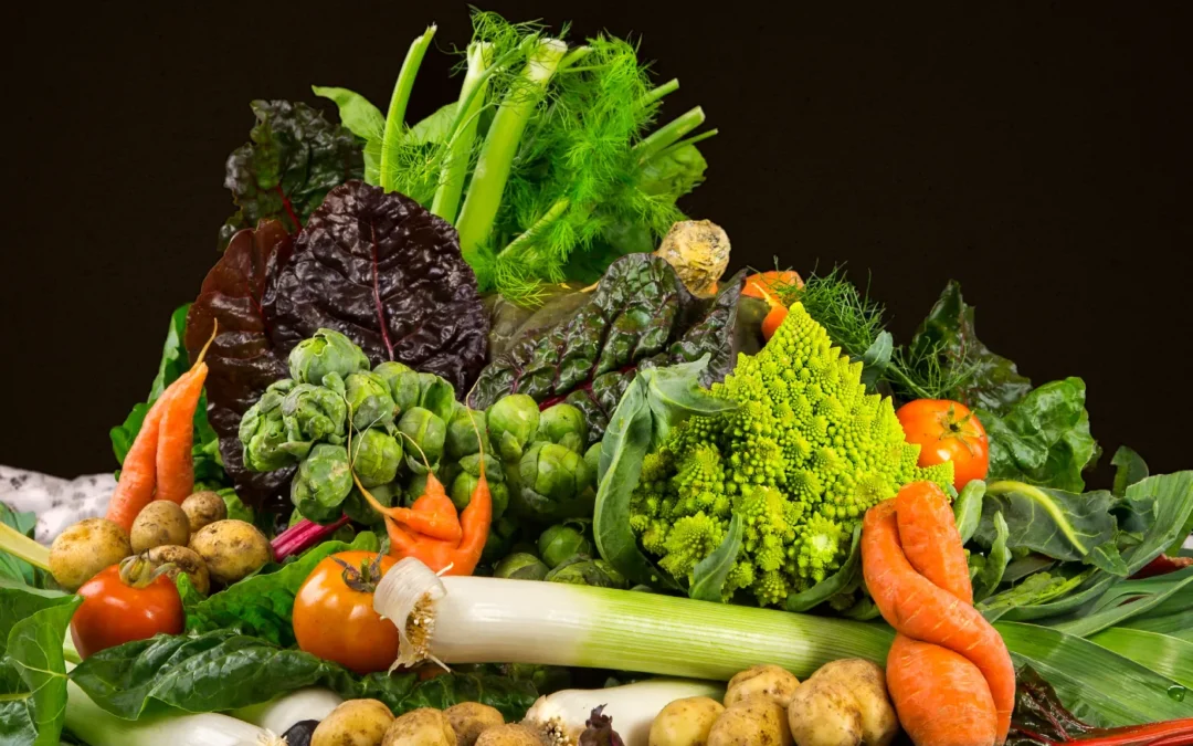 Sustainable Farming Workshops
